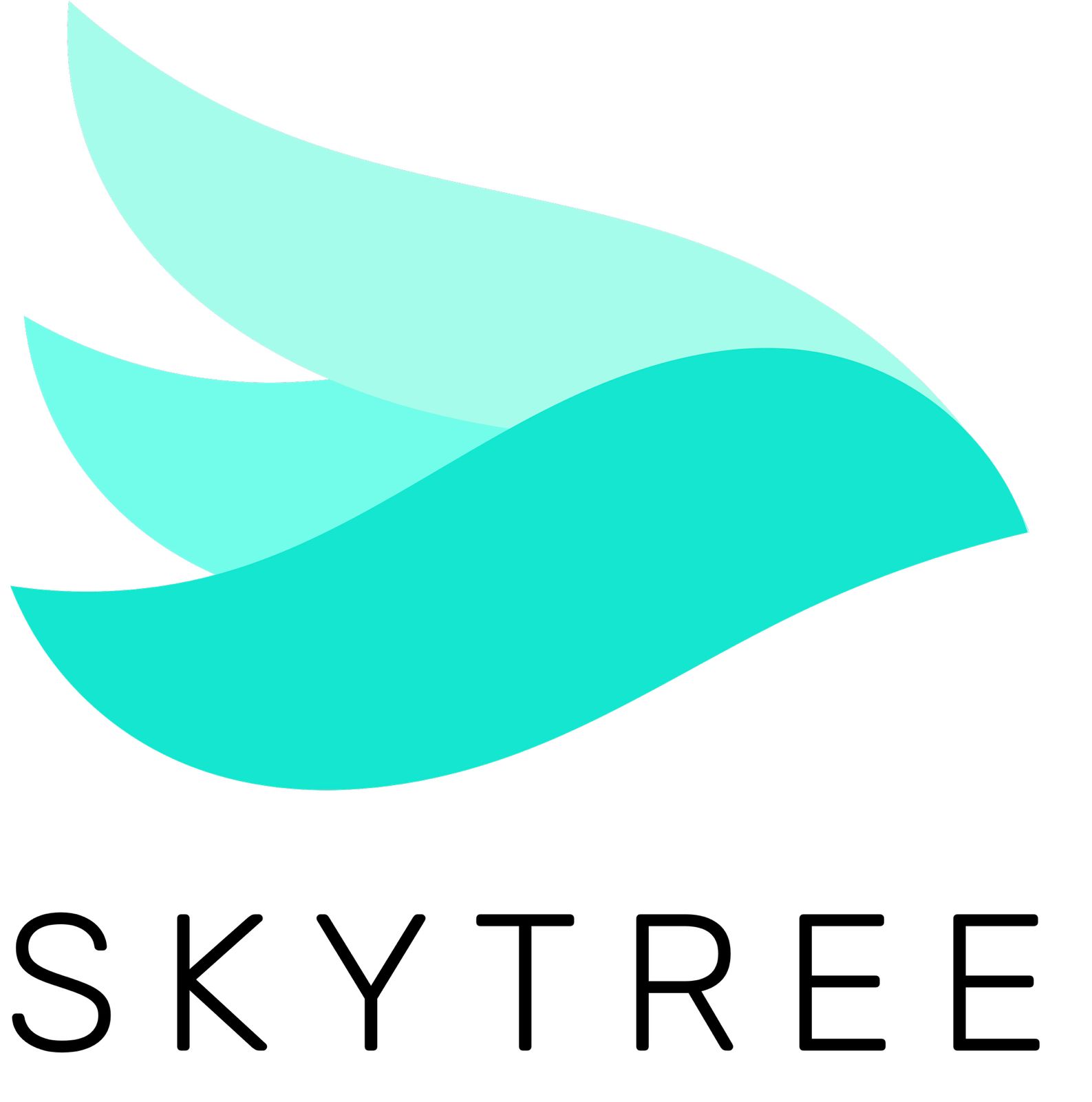Skytree Digital